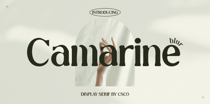 Camarine Blur Font Poster 1