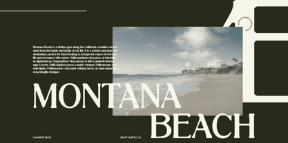 Camarine Blur Font Poster 4