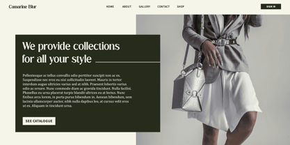 Camarine Blur Font Poster 3