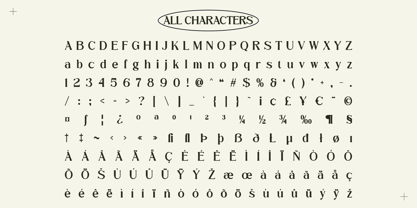 Camarine Blur Font Poster 6