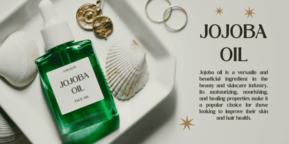 Camarine Blur Font Poster 5