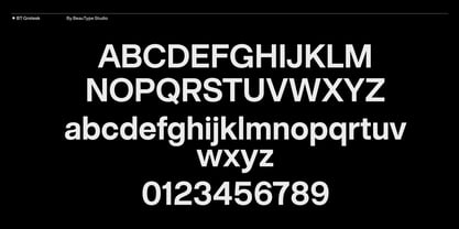 BT Grotesk Font Poster 2