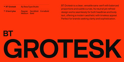 BT Grotesk Font Poster 1