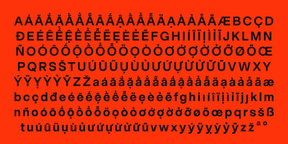 BT Grotesk Font Poster 9