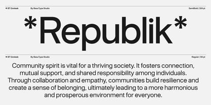 BT Grotesk Font Poster 4