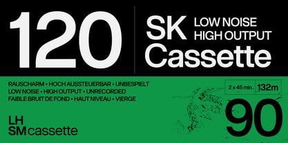 BT Grotesk Font Poster 13