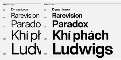 BT Grotesk Font Poster 7