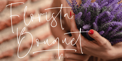 Sillento Nighters Font Poster 3