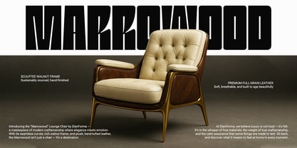 Granke Font Poster 6