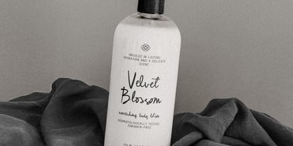 Romantic Whispers Font Poster 10