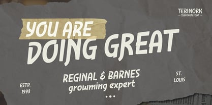 Tebinork Font Poster 2