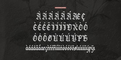Sylterina Stamped Font Poster 11