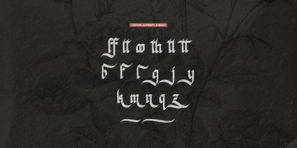 Sylterina Stamped Font Poster 12