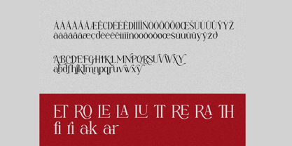 Wyrmlane Font Poster 8