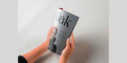 Wyrmlane Font Poster 3