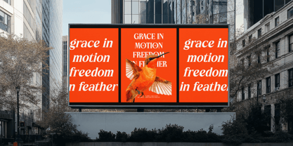 Choarll Font Poster 4