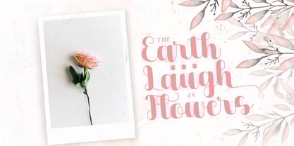 Dilaney Font Poster 4