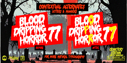 Cemetery Station Font Poster 6