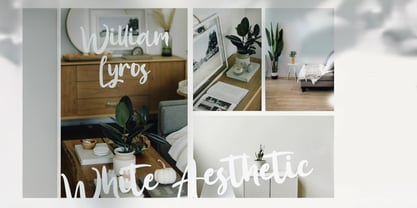 Allison Franco Font Poster 6