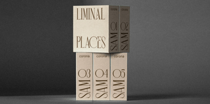 Verbose Font Poster 3