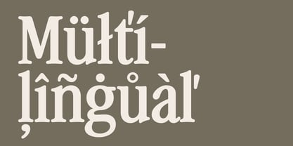 Dan Buri Font Poster 5