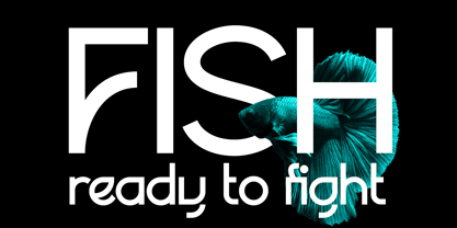 Paggodase Font Poster 7