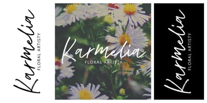 Abesin Signature Font Poster 2