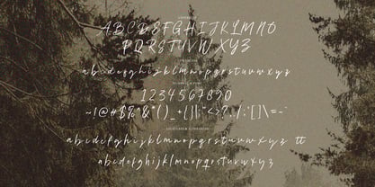 Abesin Signature Font Poster 6