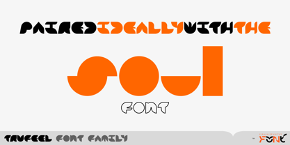 TruFeel Font Poster 2