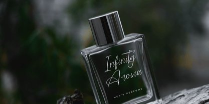 Danymeka Font Poster 2