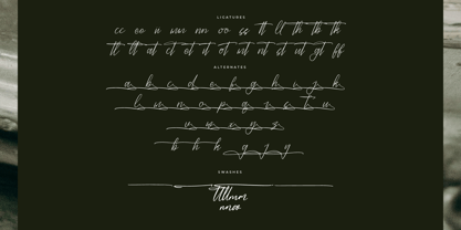 Danymeka Font Poster 8