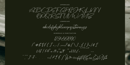 Danymeka Font Poster 7