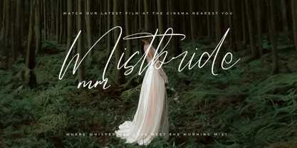 Danymeka Font Poster 5