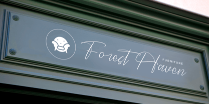 Danymeka Font Poster 6