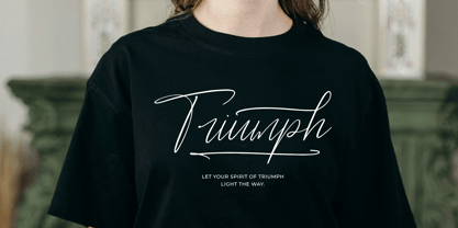 Danymeka Font Poster 4