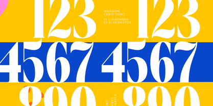 Beachy Lemon Font Poster 8