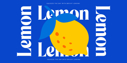 Beachy Lemon Font Poster 7