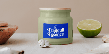 Beachy Lemon Font Poster 9