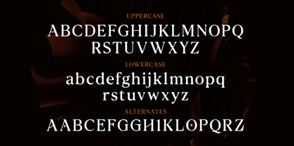 Noverich Font Poster 12