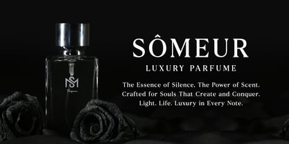 Noverich Font Poster 8