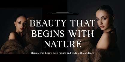 Noverich Font Poster 5