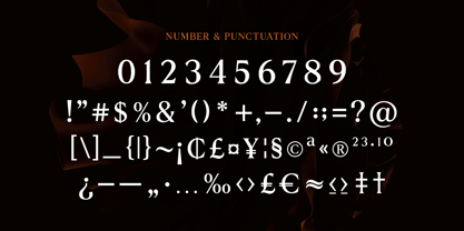 Noverich Font Poster 13