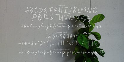 Nerland Signature Font Poster 8