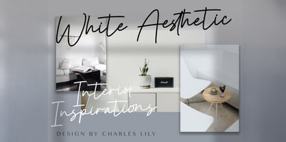 Cinta Monyett Font Poster 2