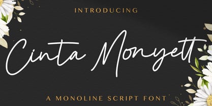 Cinta Monyett Font Poster 1