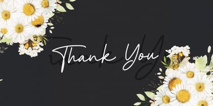 Cinta Monyett Font Poster 8