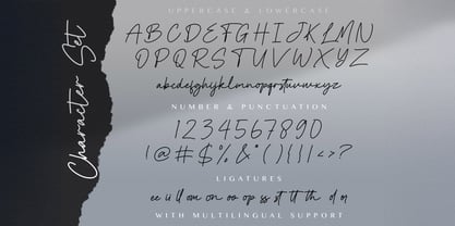 Cinta Monyett Font Poster 7