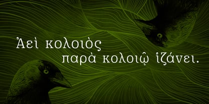 Pygmalion Font Poster 8