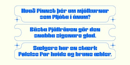 Cook Fatdisp Font Poster 6