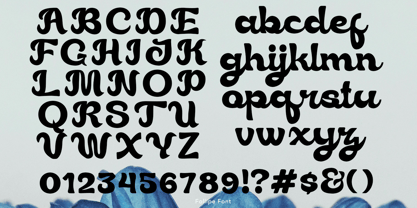 Follipe Font Poster 4